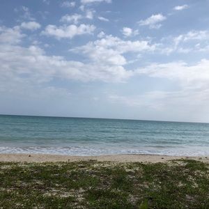 Meet your Posher, Layla